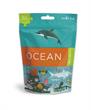 Ocean Travel Puzzle